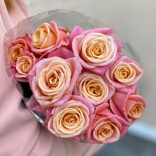 Коралловая роза "Мисс Пигги" 50 см (10 шт)