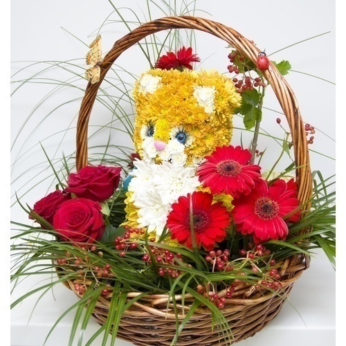 Котенок в сказочном лесу