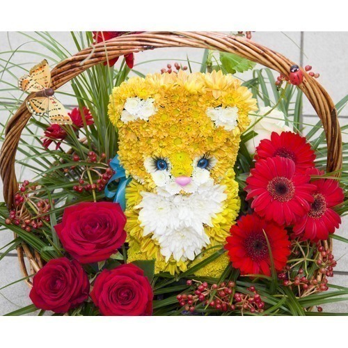 Котенок в сказочном лесу