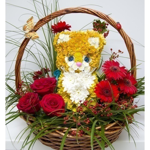 Котенок в сказочном лесу