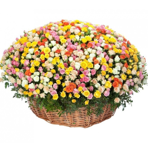 Корзина из 201 кустовой розы